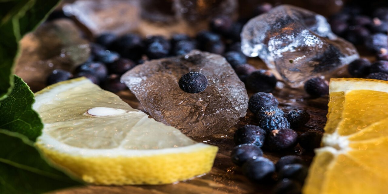 gin ingredients 