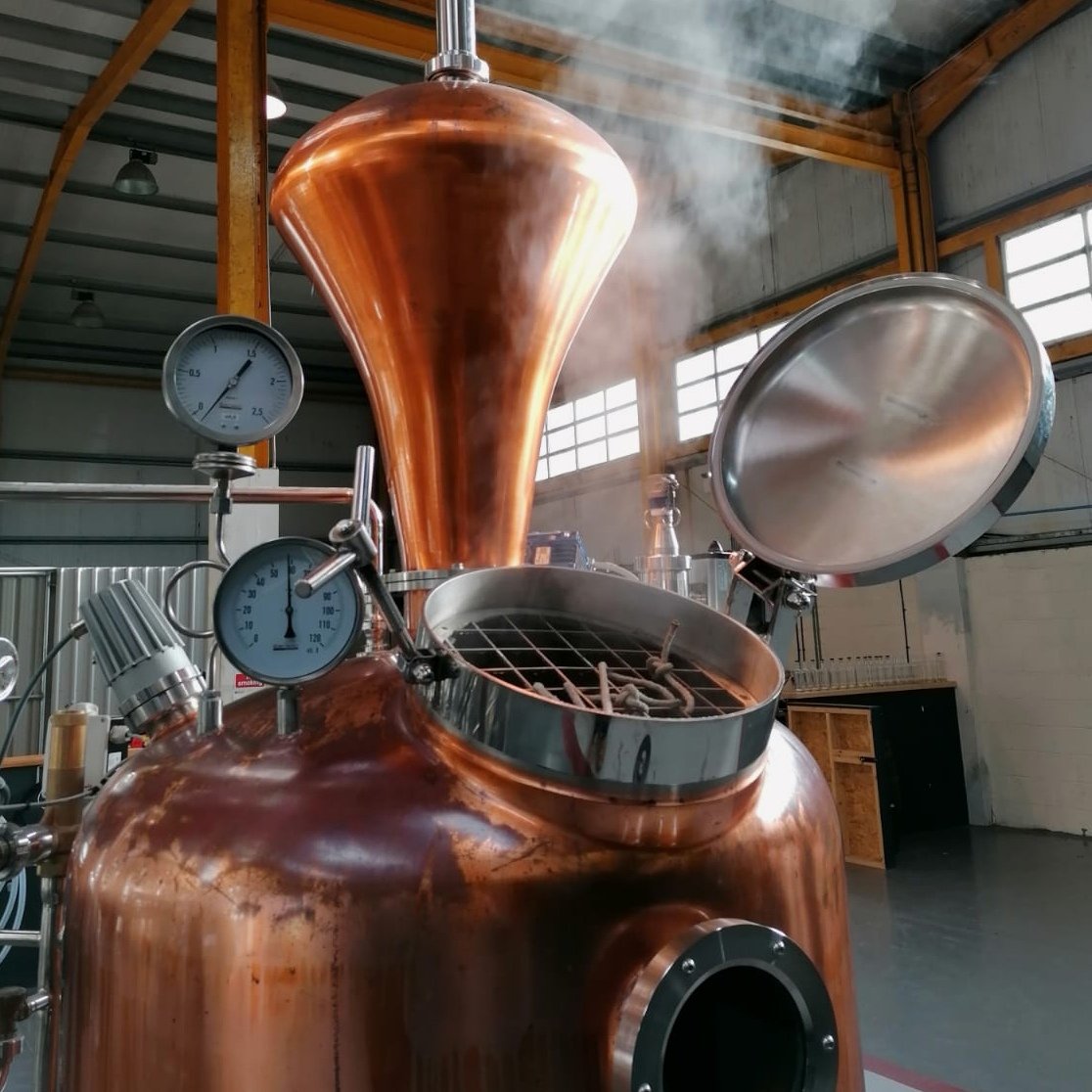 gin still in action 